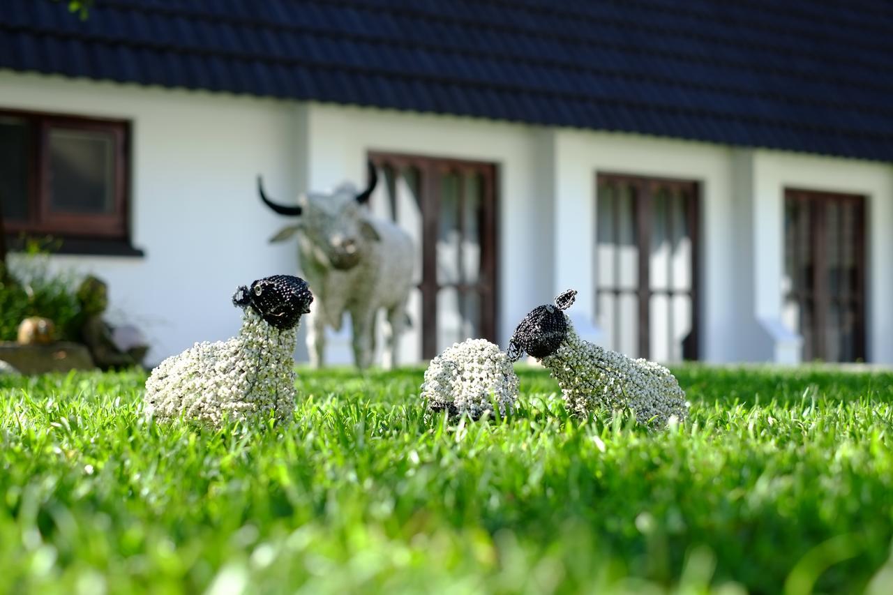 Kilmorna Manor Guest House Shoemanskloof Buitenkant foto